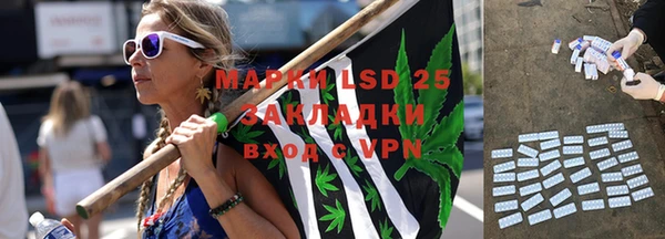стафф Алзамай