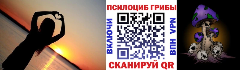 Псилоцибиновые грибы мицелий  купить наркотики сайты  Белебей 
